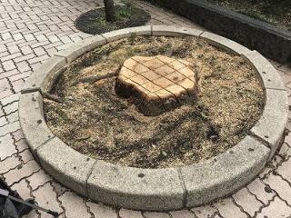 img_3545.jpg
